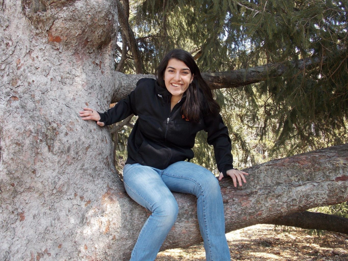 ISG Civil Engineer Corona Woychik sitting in tree