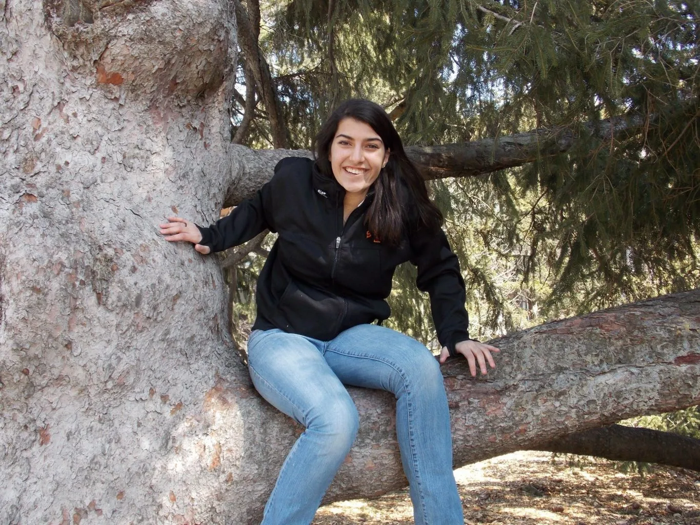 ISG Civil Engineer Corona Woychik sitting in tree