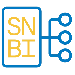 SNBI-ready workflows