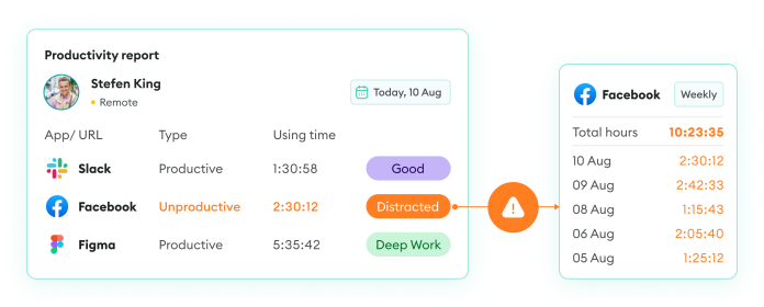 Apploye productivity report showing app usage time, activity ratings, and weekly Facebook usage summary.