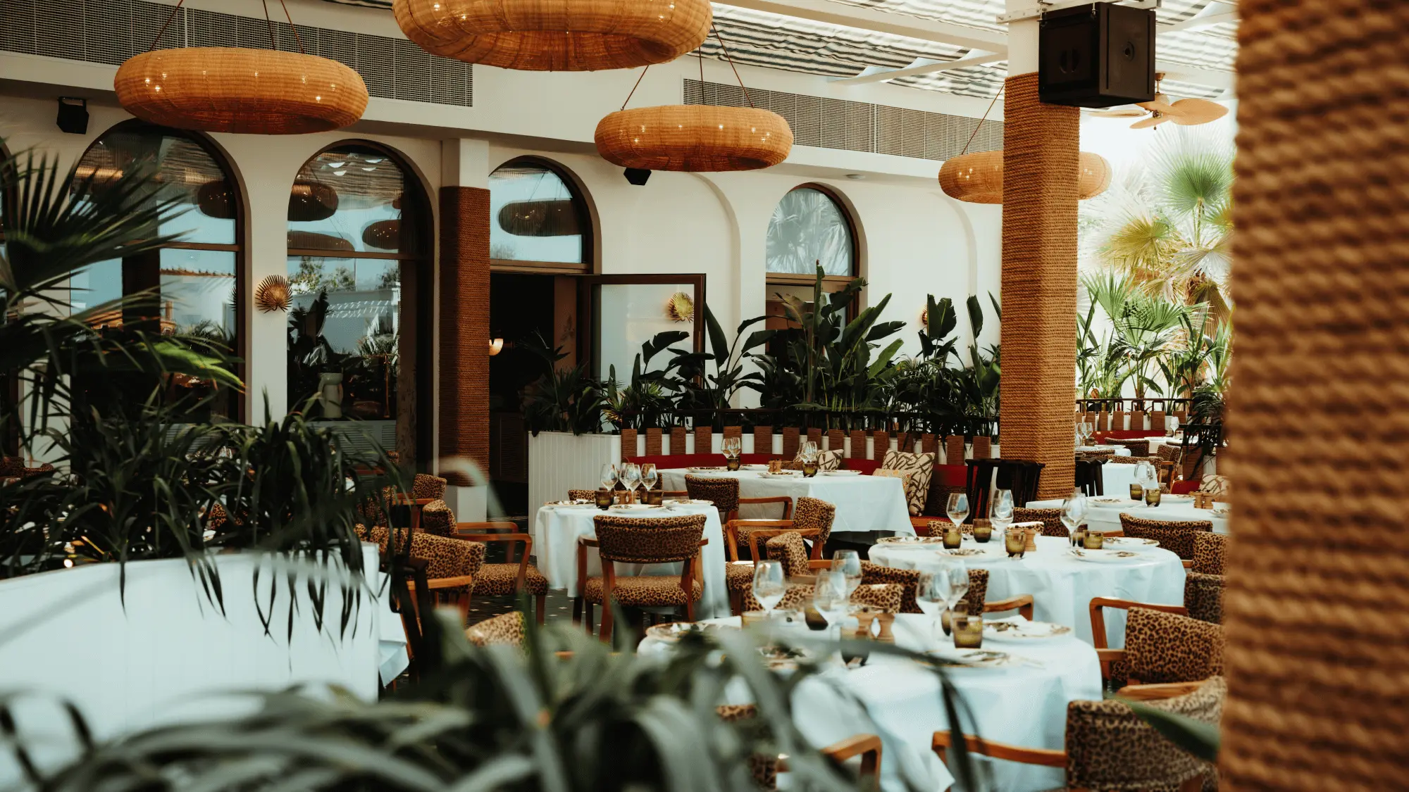 African Queen