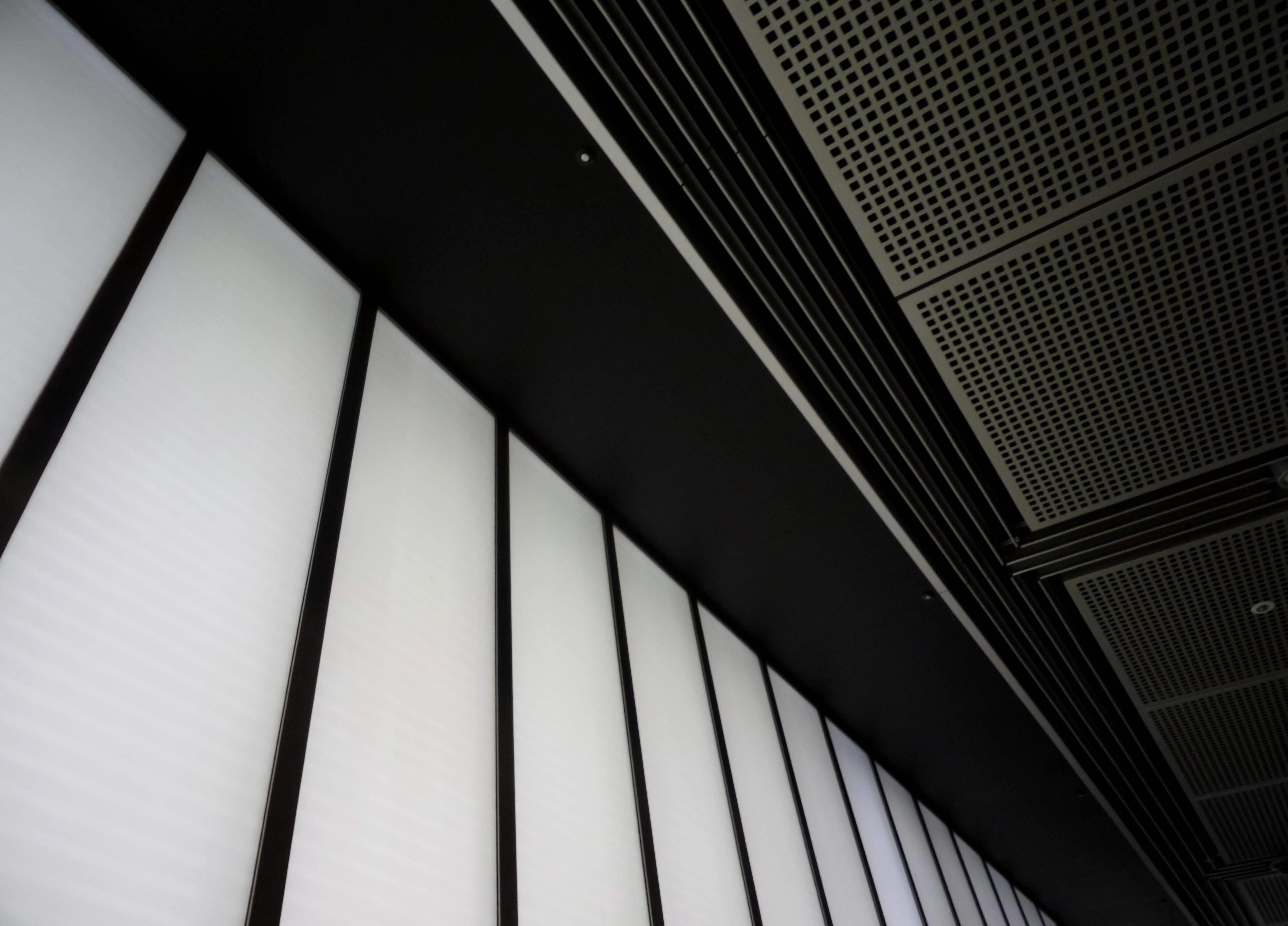 The ceiling of a building with a lot of windows