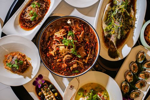 Szechuan Opera is restaurant