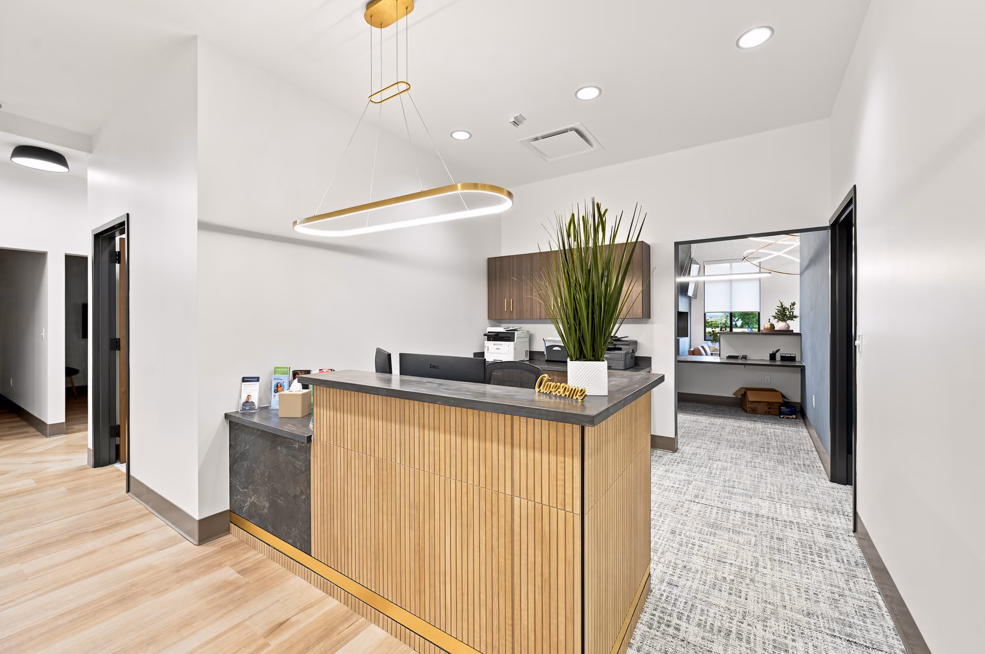 Bright dental office reception area with wooden desk, modern light fixture, and green plant decor.