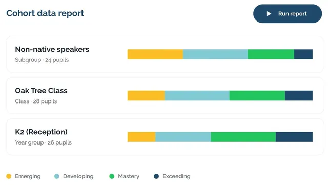 Arabic cohort report by class and subgroup