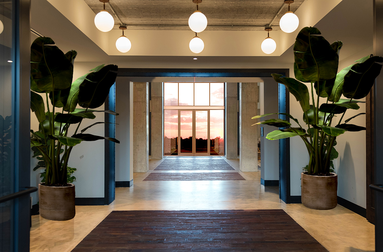 Modern hallway with concrete ceiling, round pendant lights, large potted plants on each side, and glass doors showing a sunset outside.