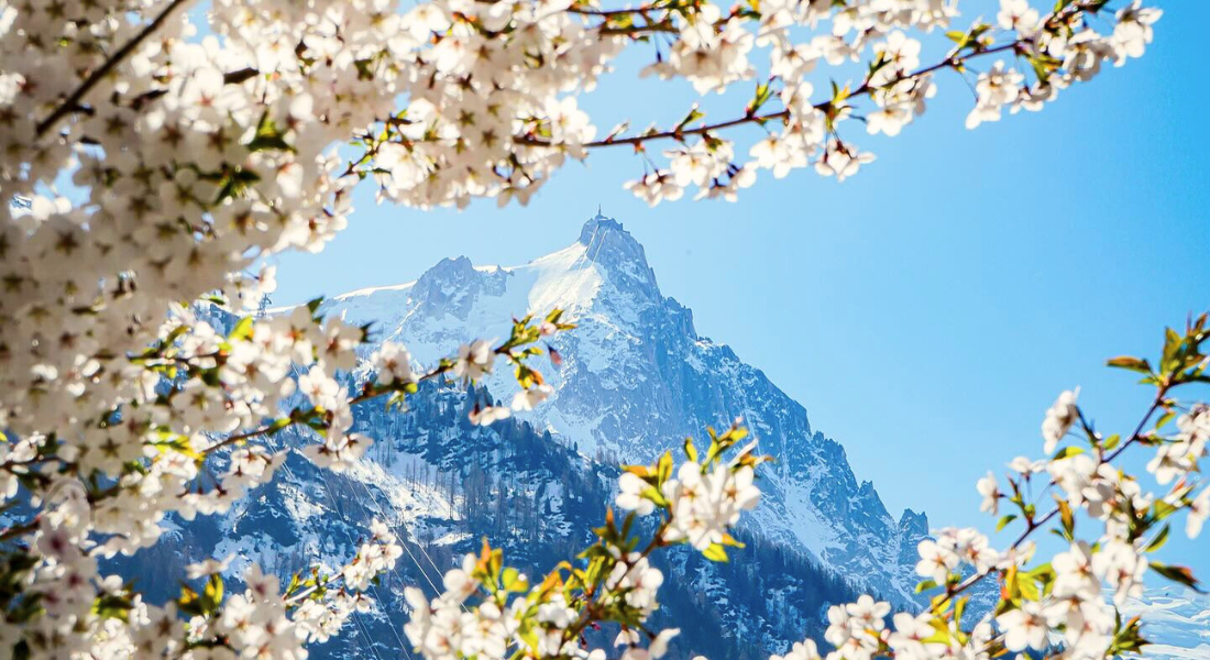 Offre de printemps -15% sur votre séjour à Chamonix
