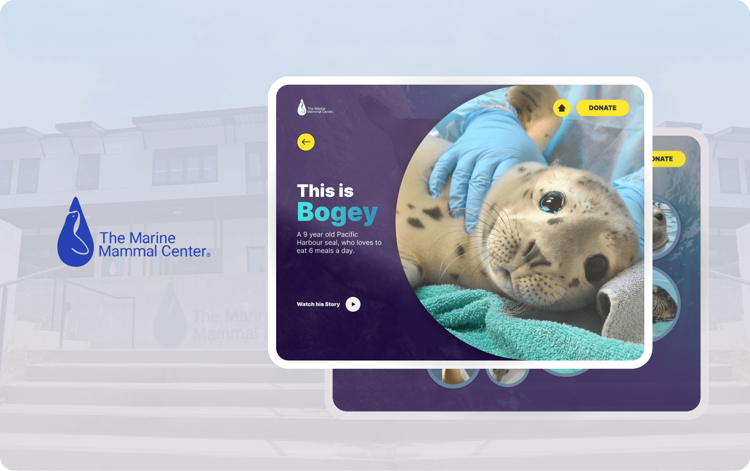 Tap to view Meet our pup case study