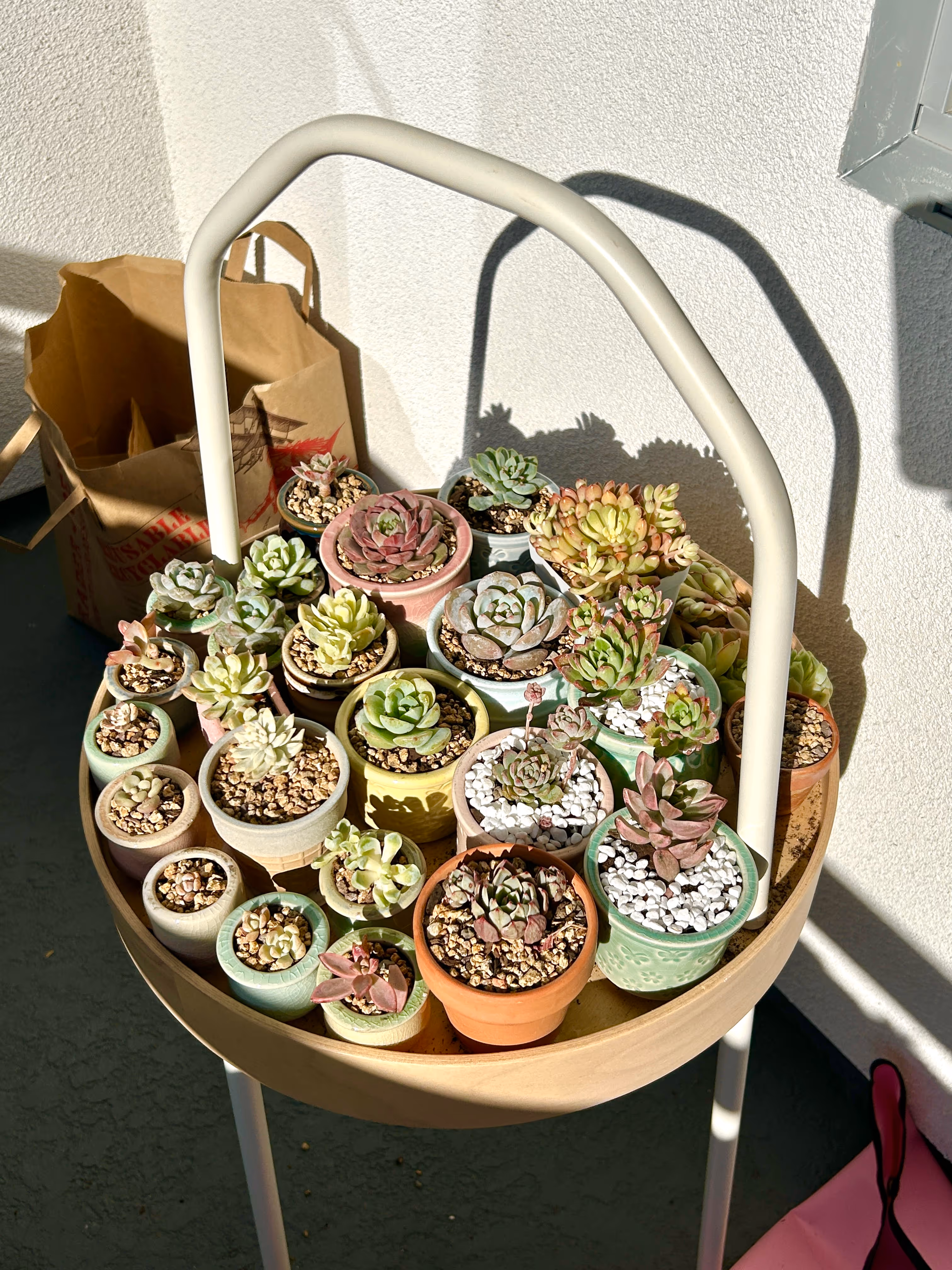 A round wooden tray holding multiple small potted succulent plants in various colored pots placed on a light-colored chair under sunlight.