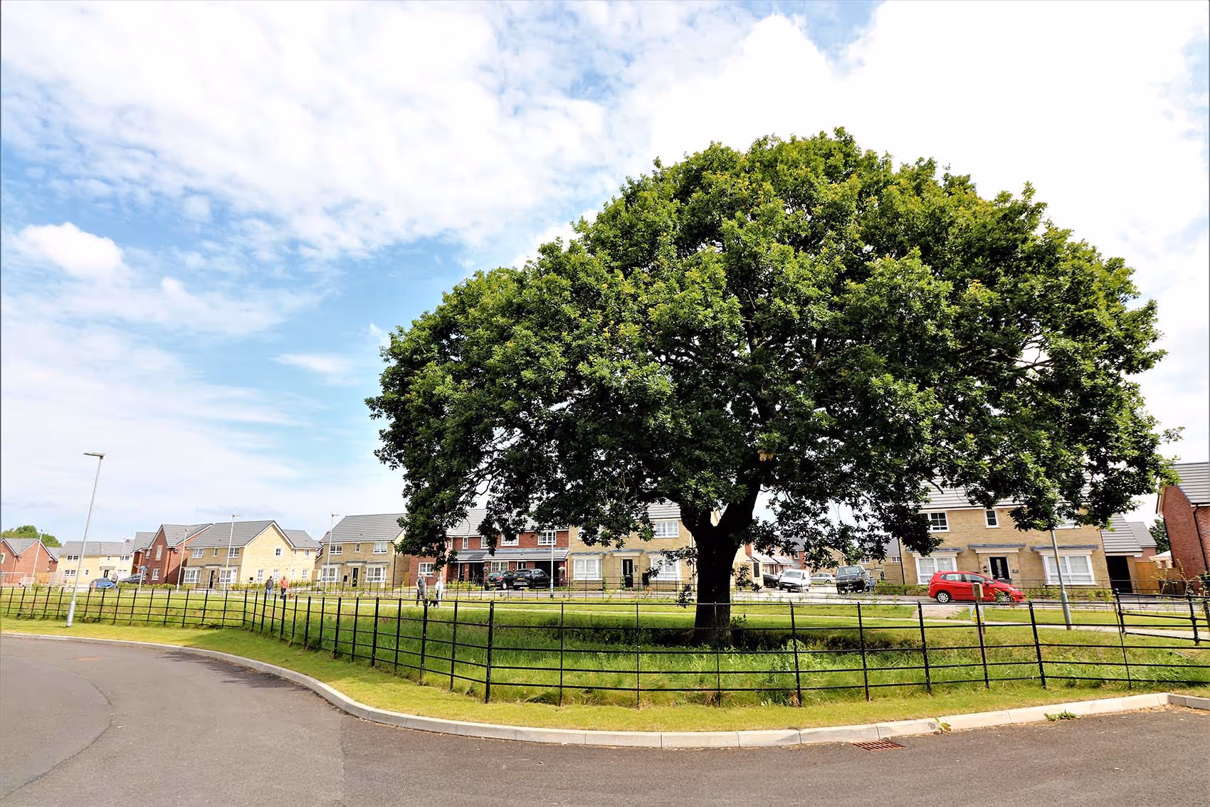 This project involved surveying a large number of trees located within the existing field site and along adjacent boundaries.