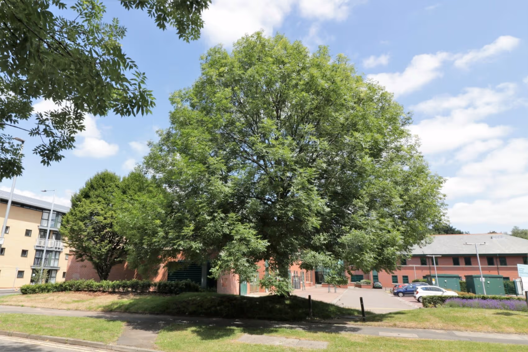 The proposed development included a side extension to the existing compound building.