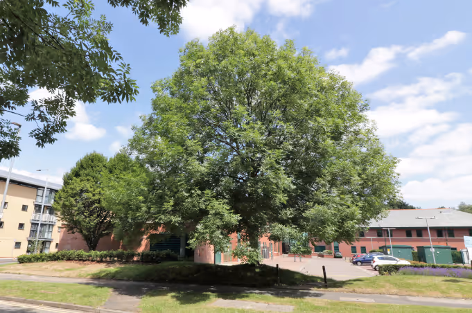 Arboricultural Impact Assessment: Pencroft Way, Manchester