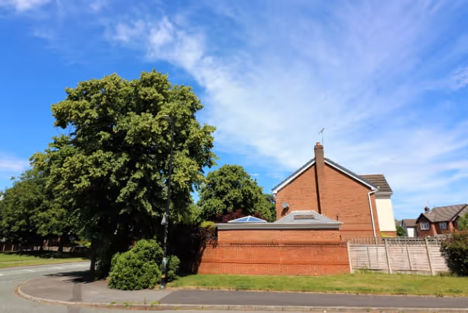 Rear Extension