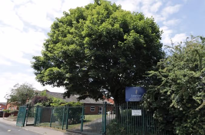 New security fencing was proposed around the school grounds, which required construction close to several large boundary trees.