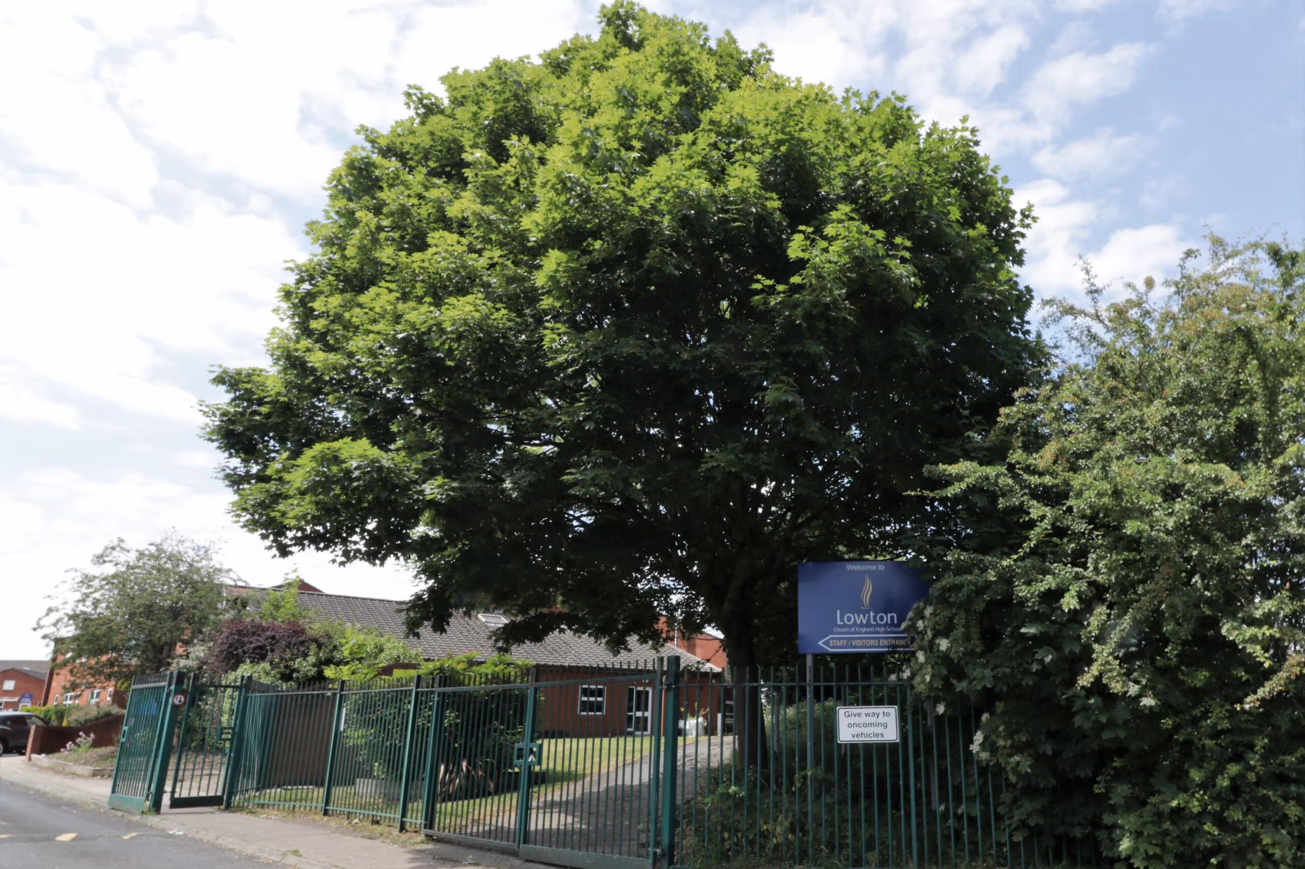 New security fencing was proposed around the school grounds, which required construction close to several large boundary trees.