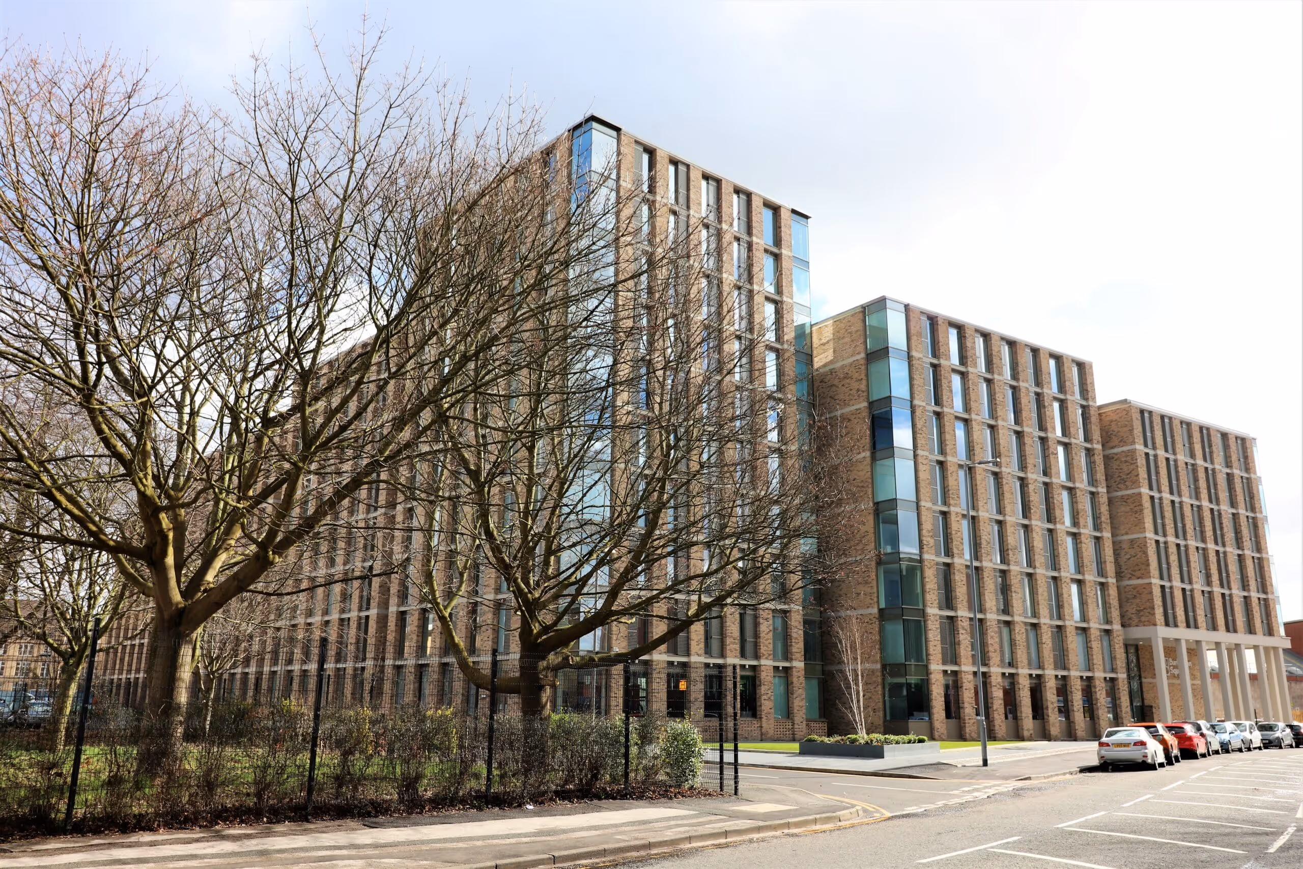 Project involved surveying all trees both within the site and the surrounding area.