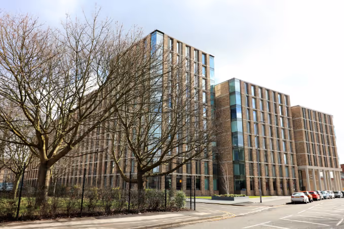 Project involved surveying all trees both within the site and the surrounding area.