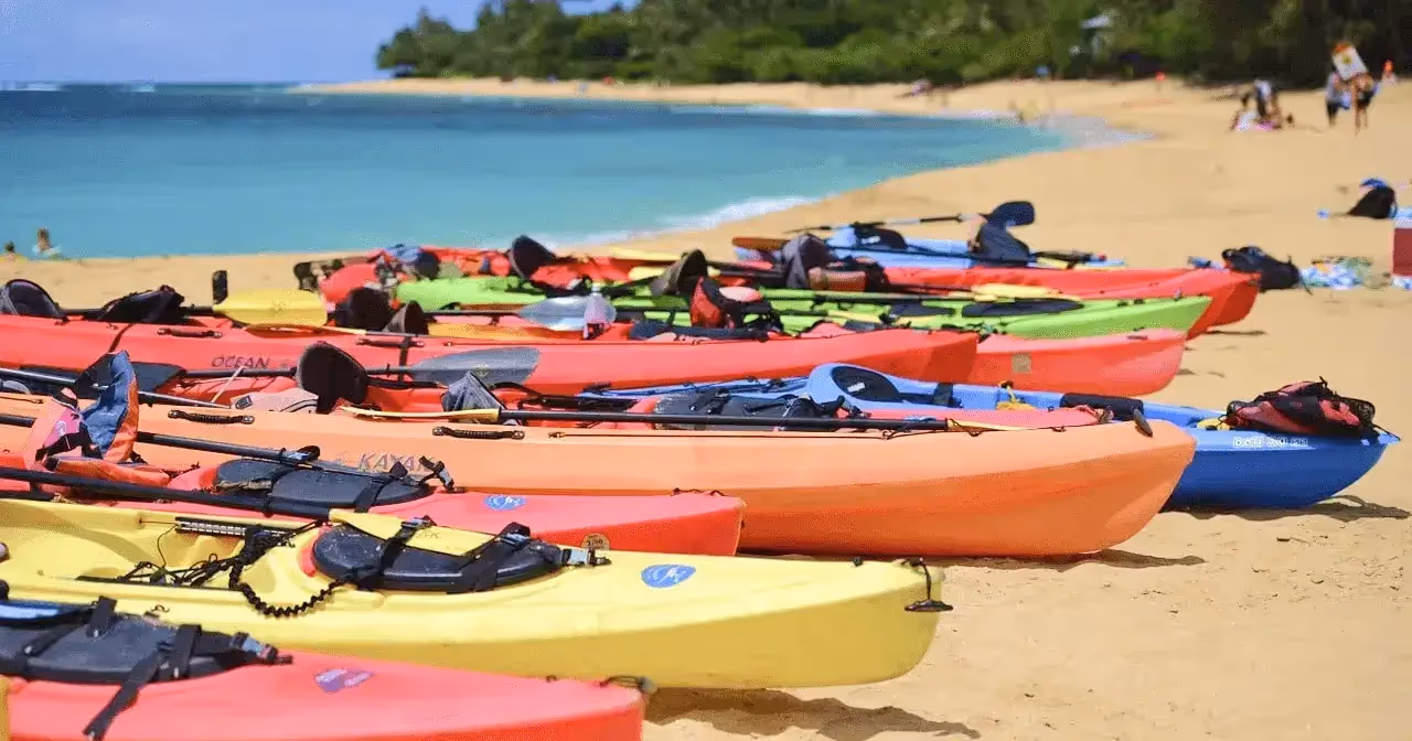 kayaks with gear on the beach