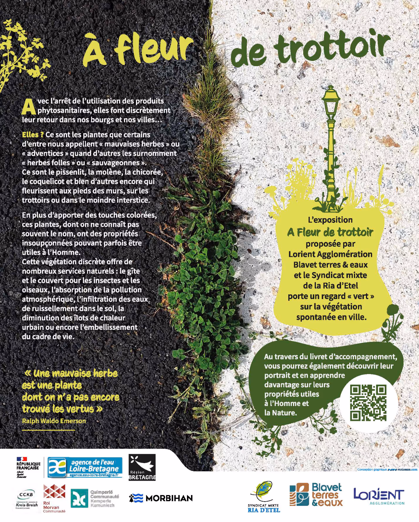 Affiche de l'exposition 'À fleur de trottoir', présentant des plantes sauvages poussant sur un trottoir, avec des informations sur l'importance écologique des mauvaises herbes.