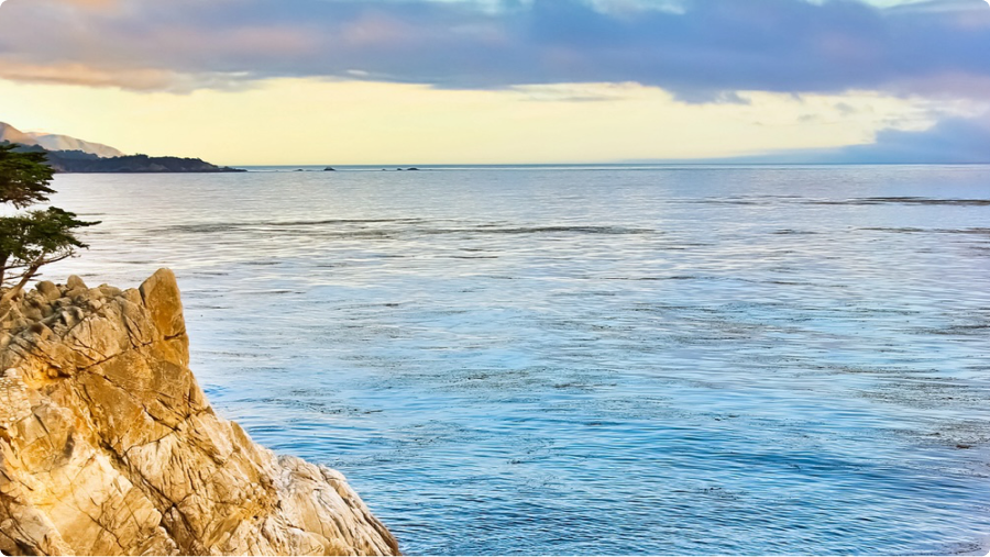 Ocean and cypress trees along the coast