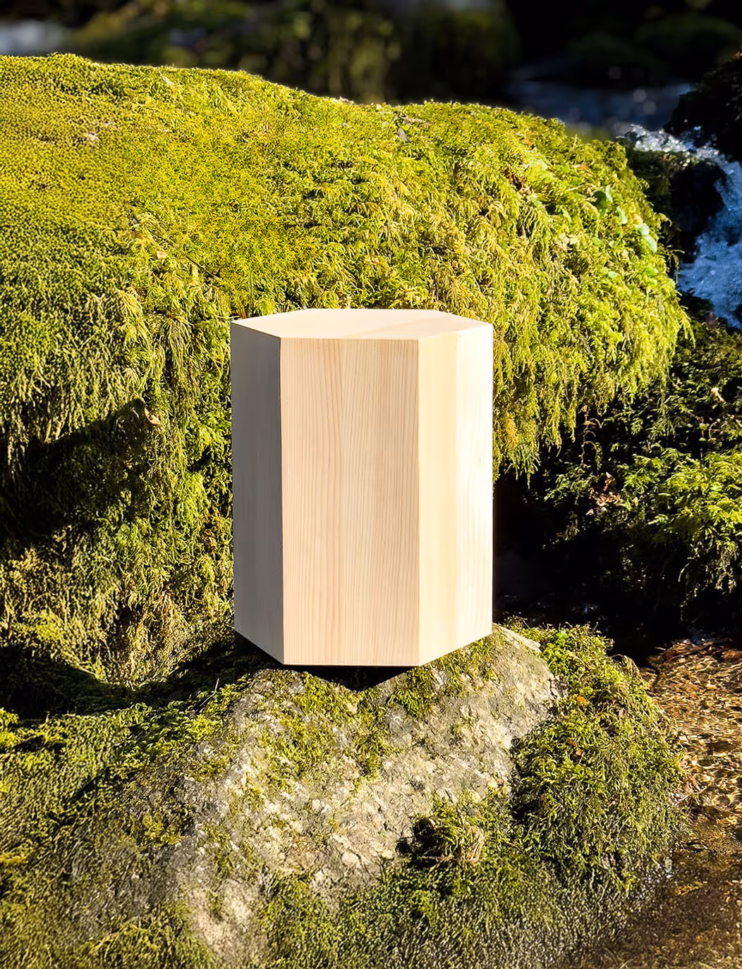 Bild einer Urne in der Natur