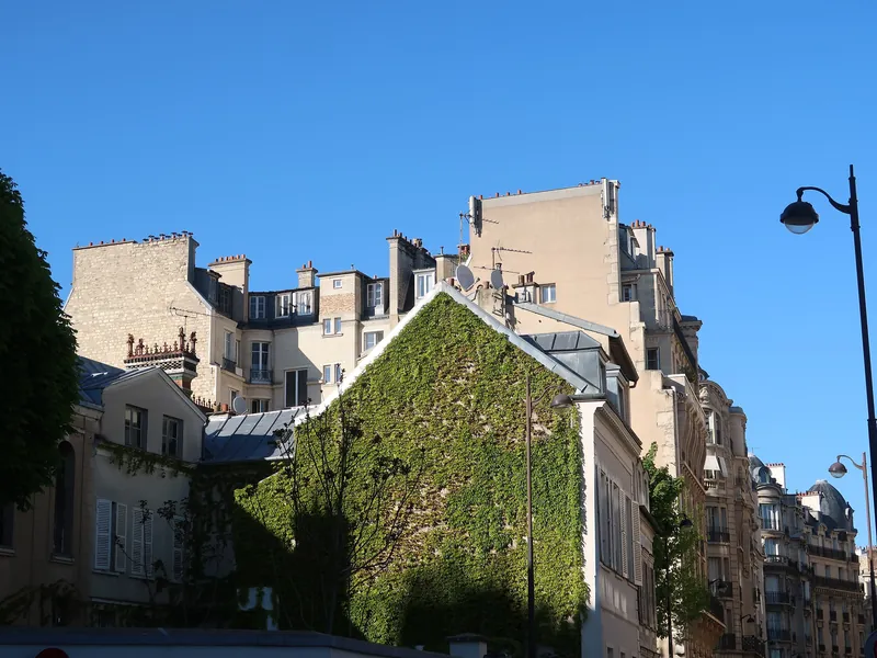 Mur couvert de lierre entre deux immeubles de la rue Raynouard, dans le 16e