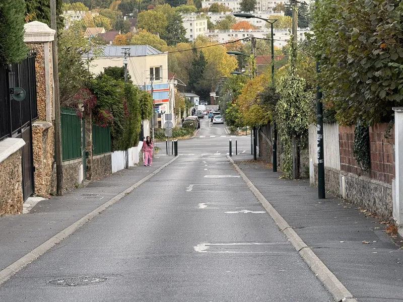 Rue Lazare-Hoche bordée de maisons et de murs en meulière à Palaiseau