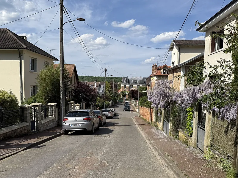 Pavillons et glycine en fleurs rue Fronval à Viroflay