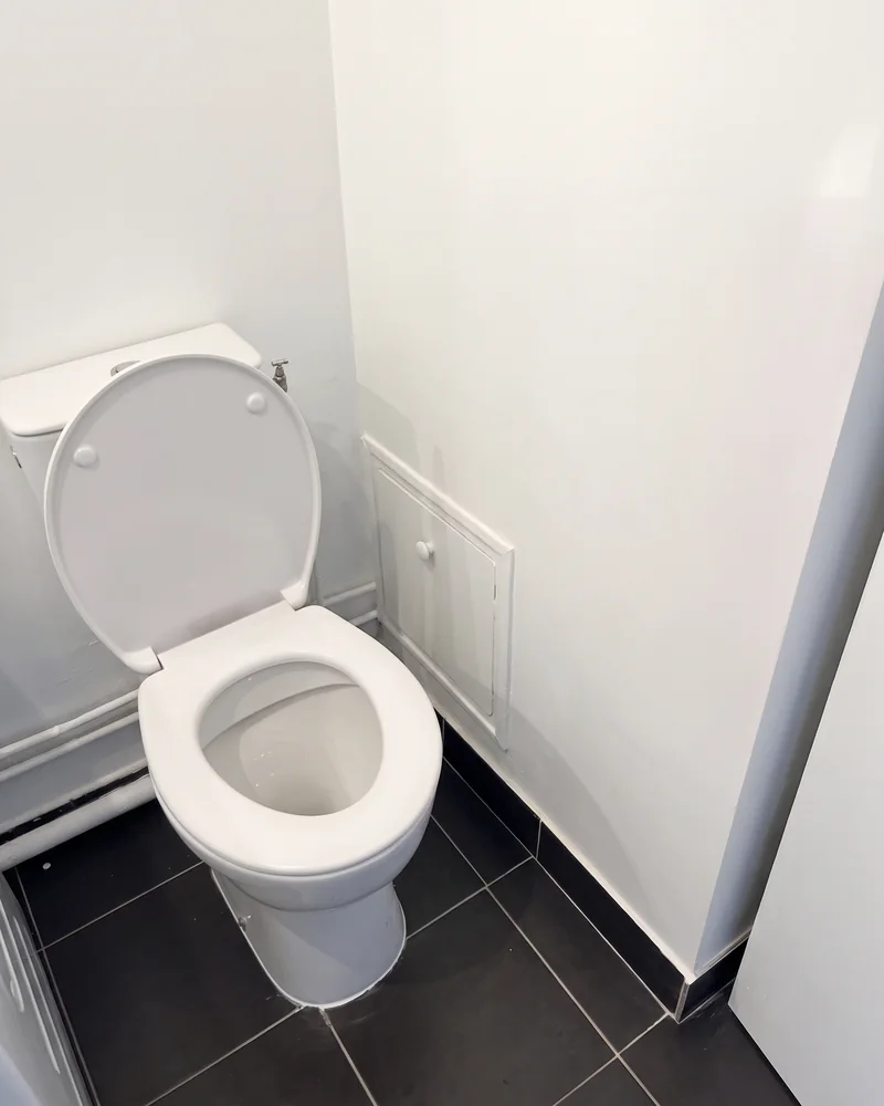 Avant&nbsp;: les toilettes, à&nbsp;côté d'un&nbsp;lave-linge