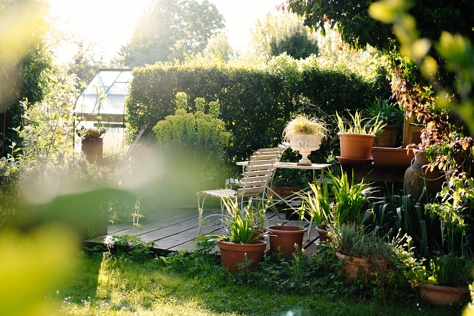 HoLa Gartengestaltung
