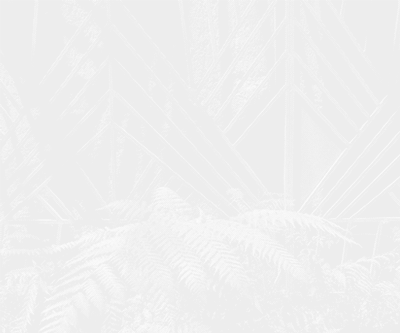 offers-background