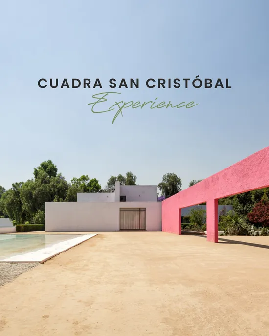 colima 71 instagram image