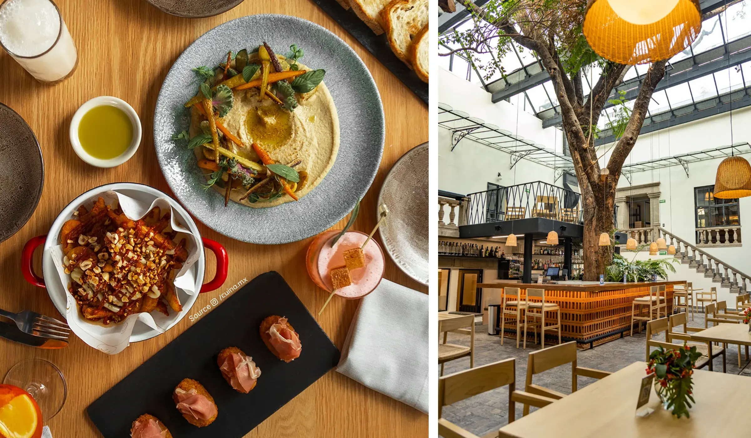 48 Hours in Roma Norte: A Local’s Guide to Mexico City