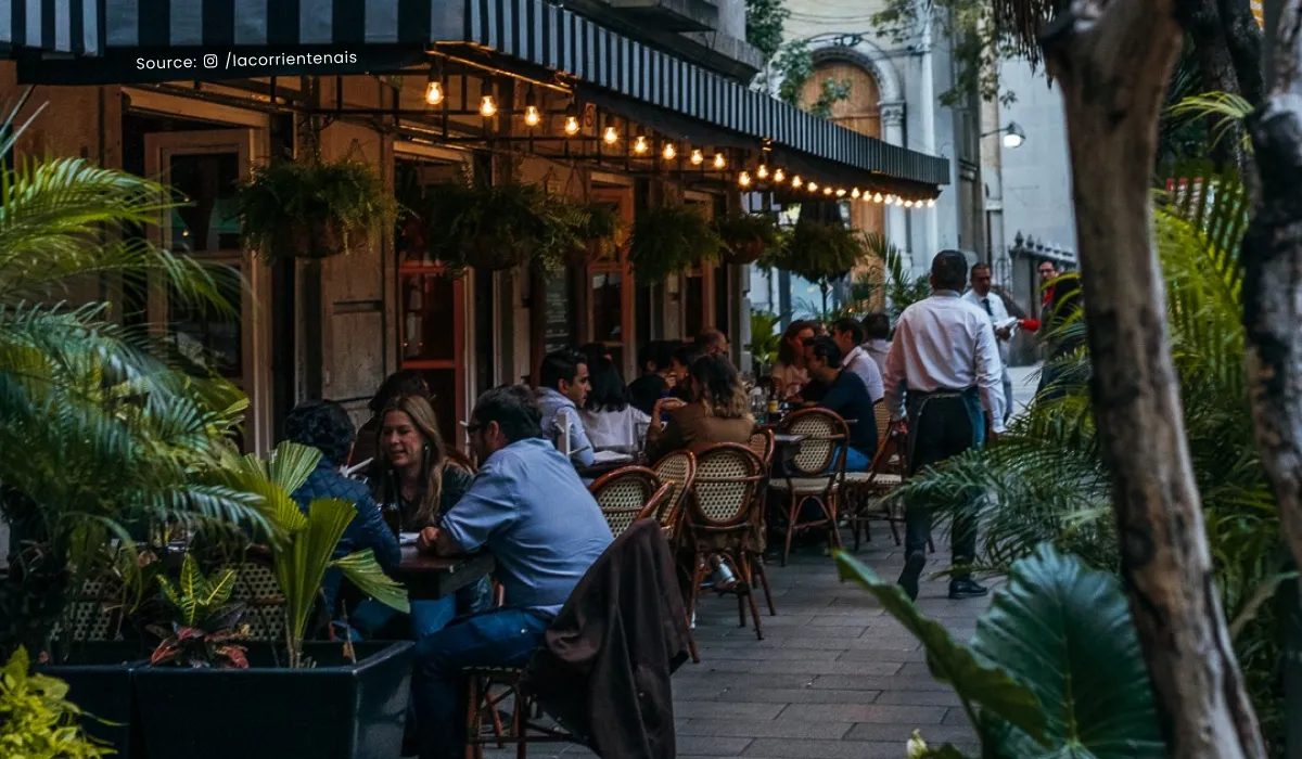 The New Yorker’s Guide to Roma Norte: A Curated Handbook for the Sophisticated Traveler