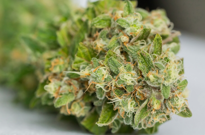 What is Sprayed Weed and How to Identify Contaminated Buds