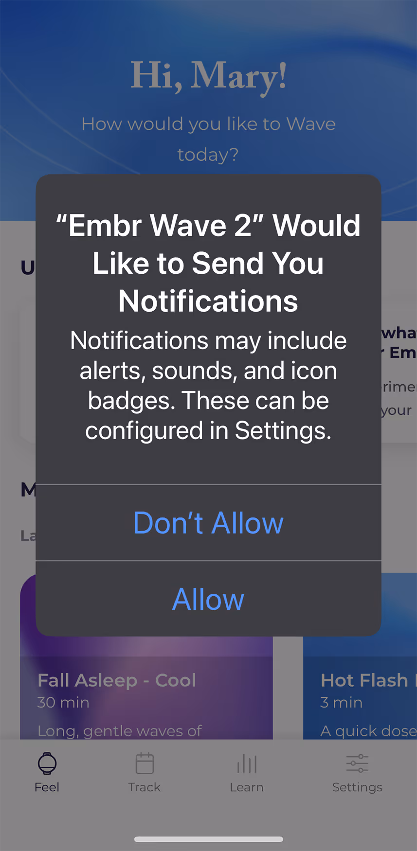 UX flow gallery image - Embr Wave Onboarding -  Notifications