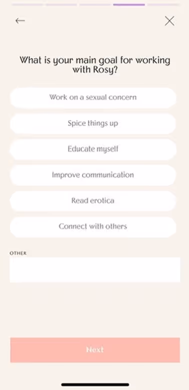 UX Gallery Screens - Rosy App Setup and Onboarding