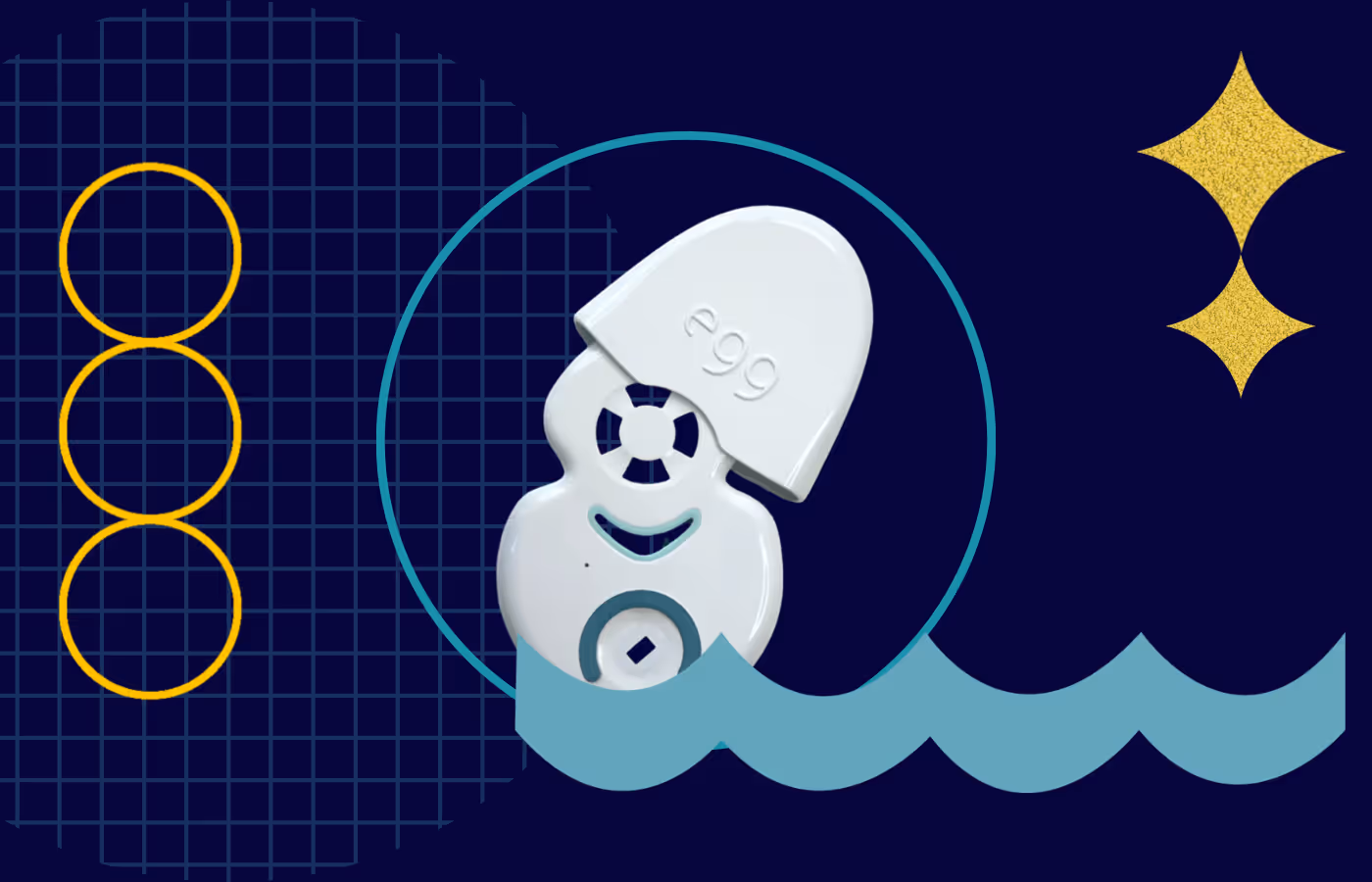 Guidea Femovate -  How Seesaw Health is Transforming Women’s Health: Digital biomarker platform designed to identify and combat chronic, systemic inflammation