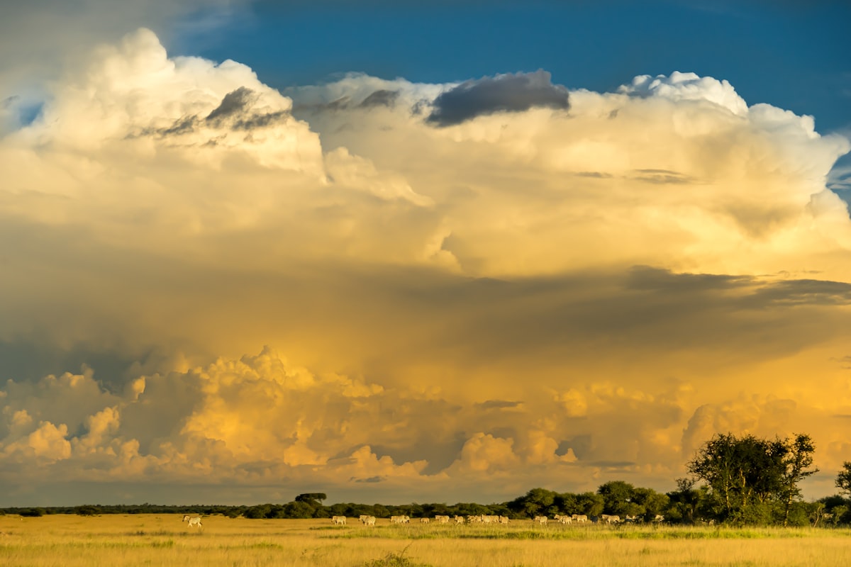 Botswana Investor Immigration Guide 2026