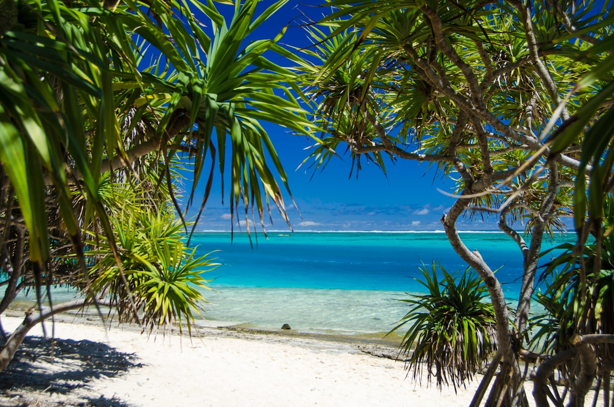 Vanuatu Citizenship by Investment 2026: DSP vs CIIP — Full Comparison Guide