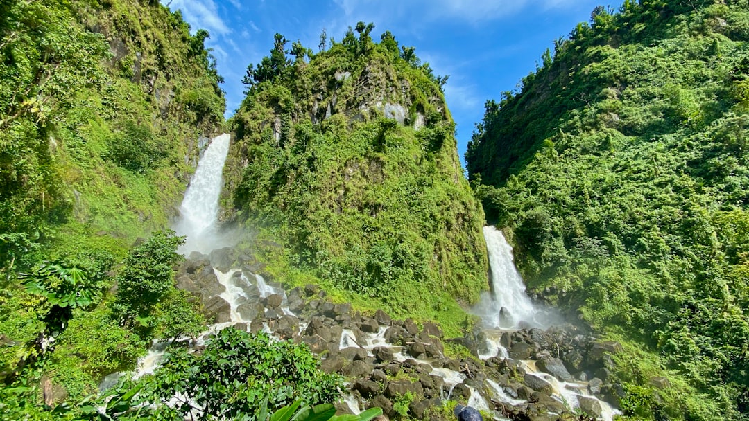 Banking in Dominica 2026: Financial Services for CBI Citizens