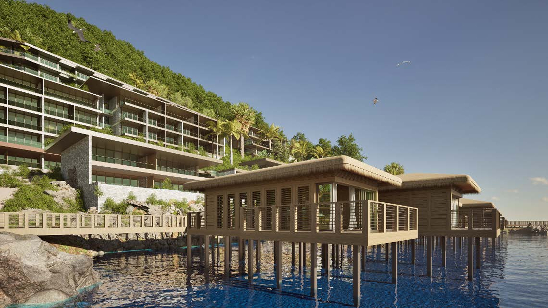 Shares Options — image 4 of 6 — Rodney Bay, St. Lucia