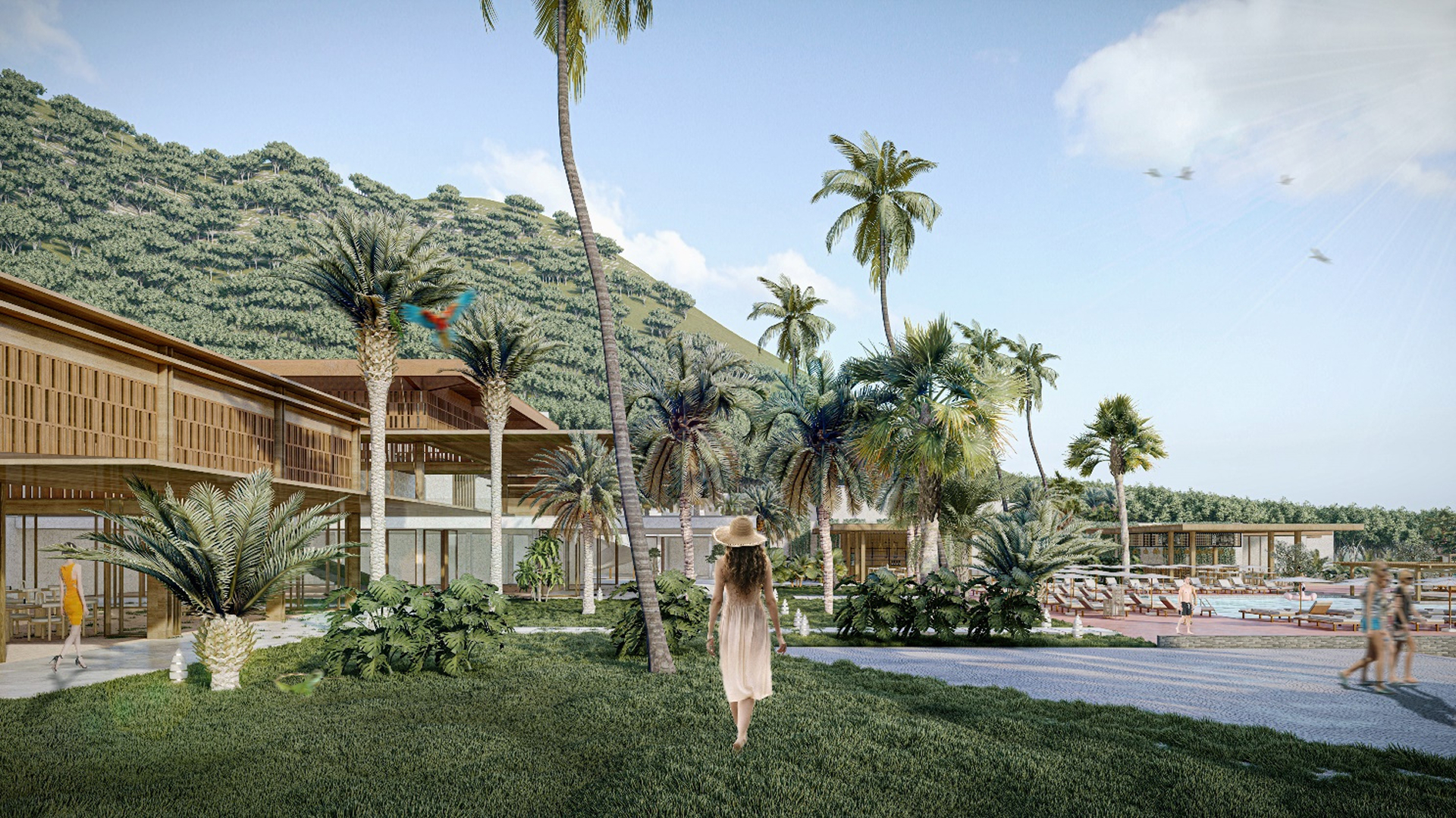Shares Options — image 2 of 6 — Rodney Bay, St. Lucia