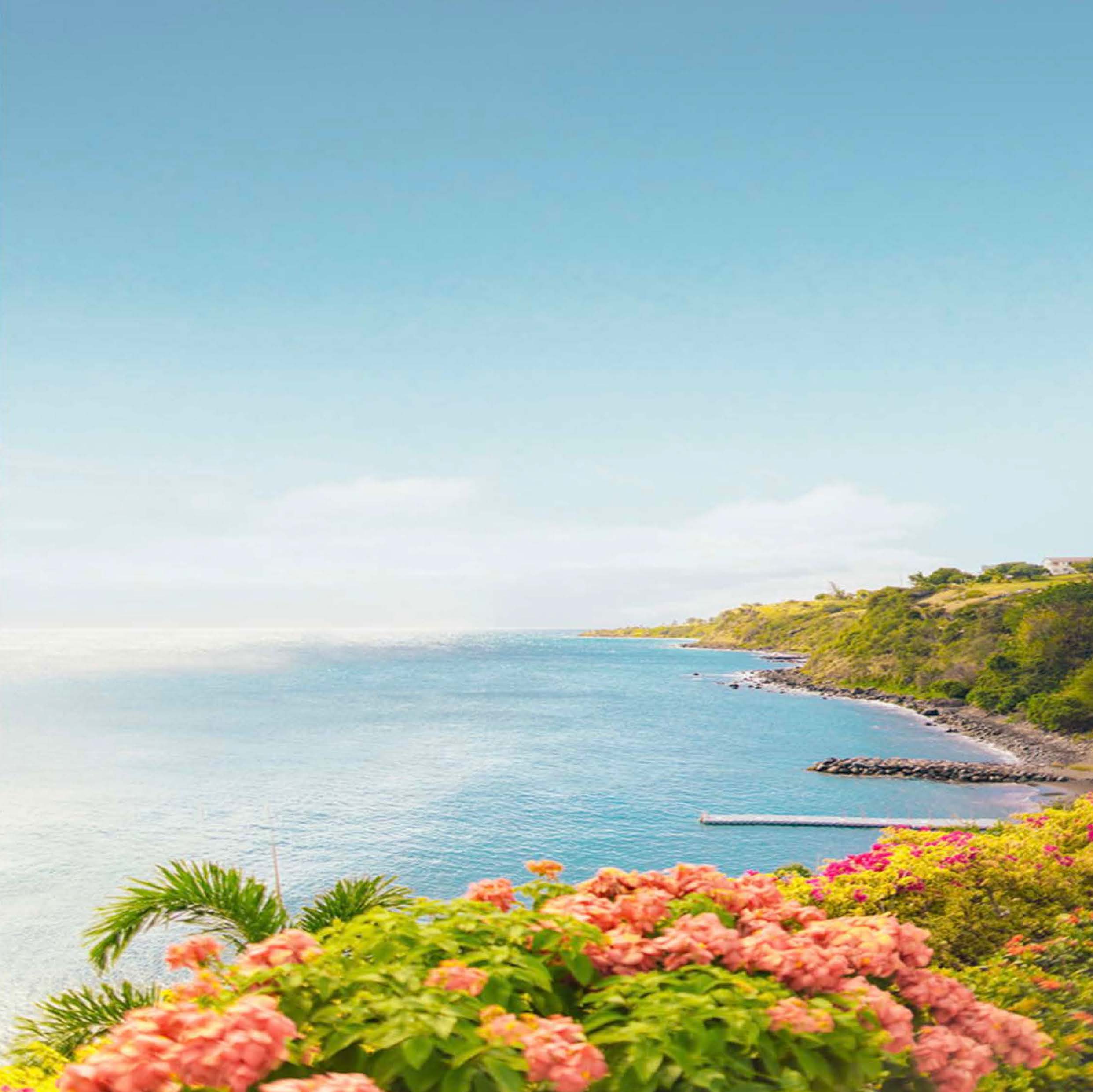 Hotel Villa Investment - Saint Kitts — image 13 of 13 — Frigate Bay, Saint Kitts, St. Kitts & Nevis
