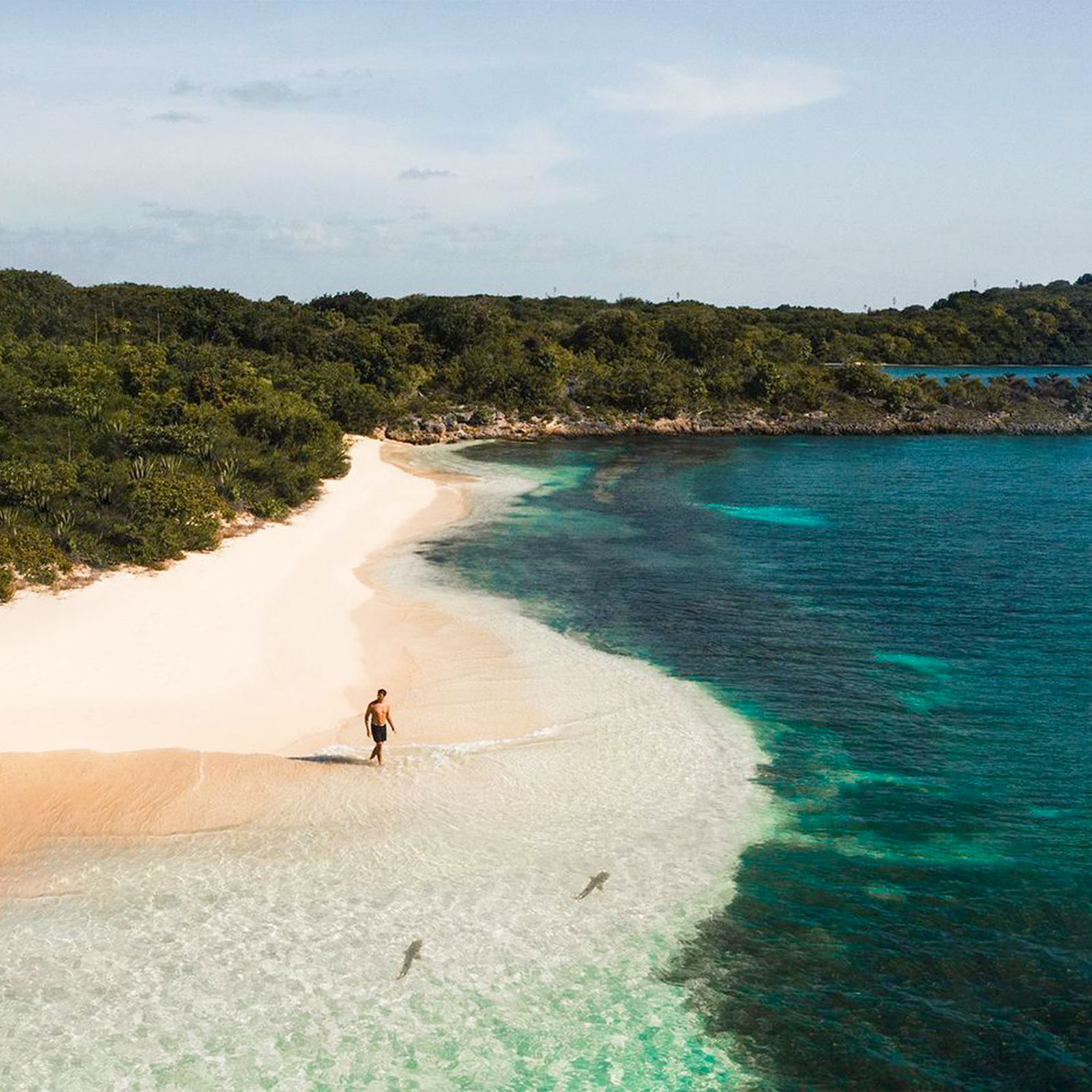 Beach House in Antigua and Barbuda — image 9 of 11 — Antigua and Barbuda