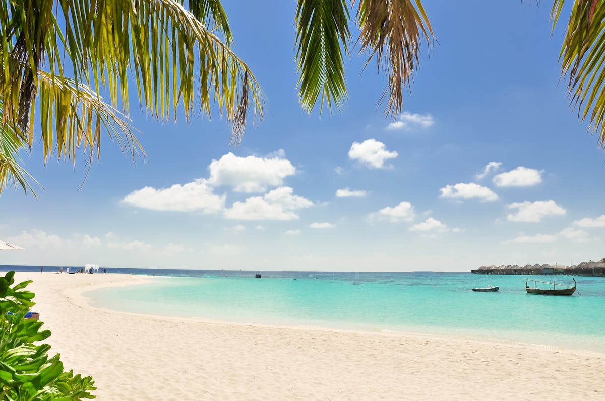 Caribbean CBI Real Estate vs Donation: Which Route Wins in 2026?