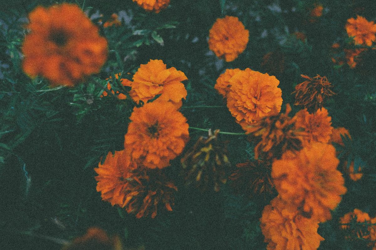 blog cover