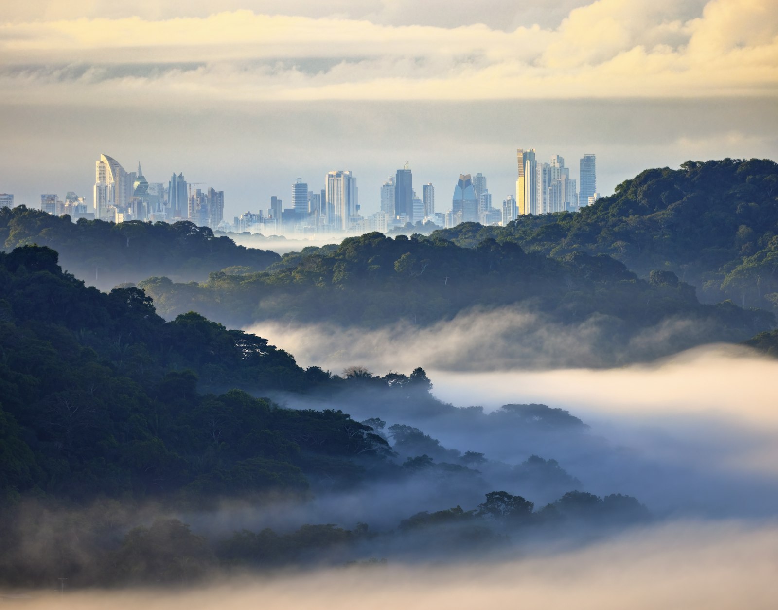 Investment migration programme overview — Mirabello Consultancy