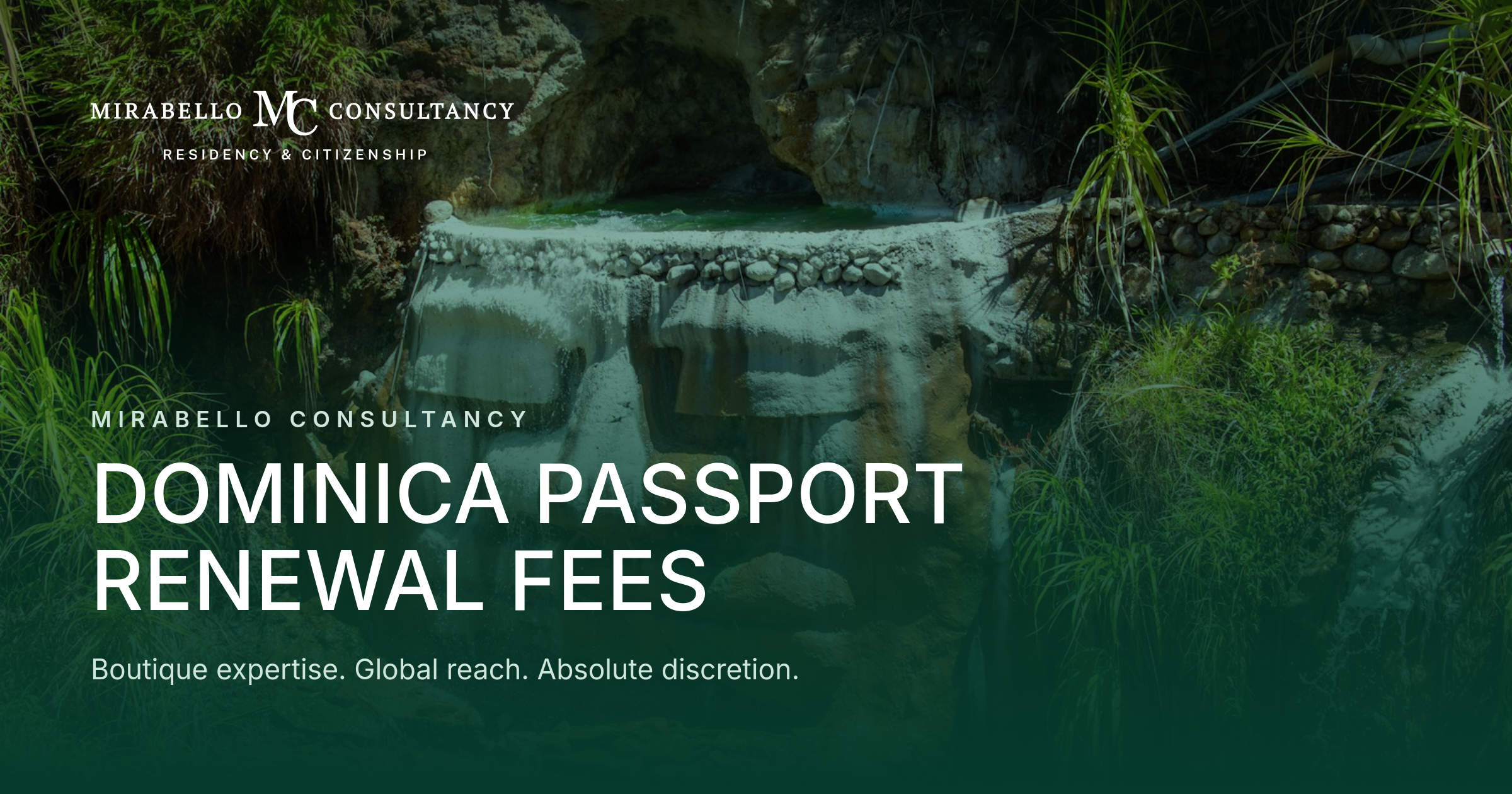 Costi del rinnovo del passaporto di Dominica 2026: il rinnovo CBI più conveniente dei Caraibi