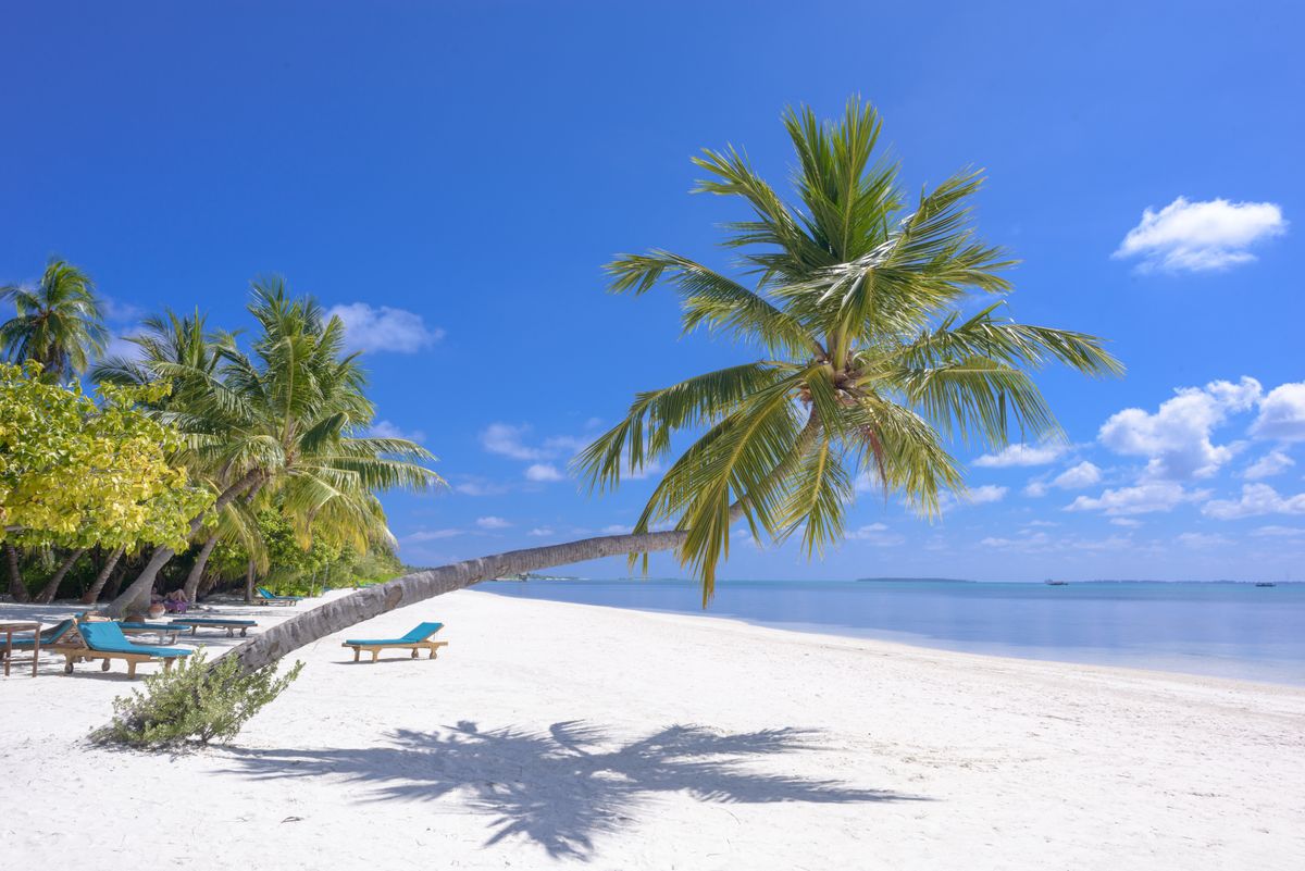 Caribbean Citizenship by Investment Comparison 2026: All 5 Programmes Ranked
